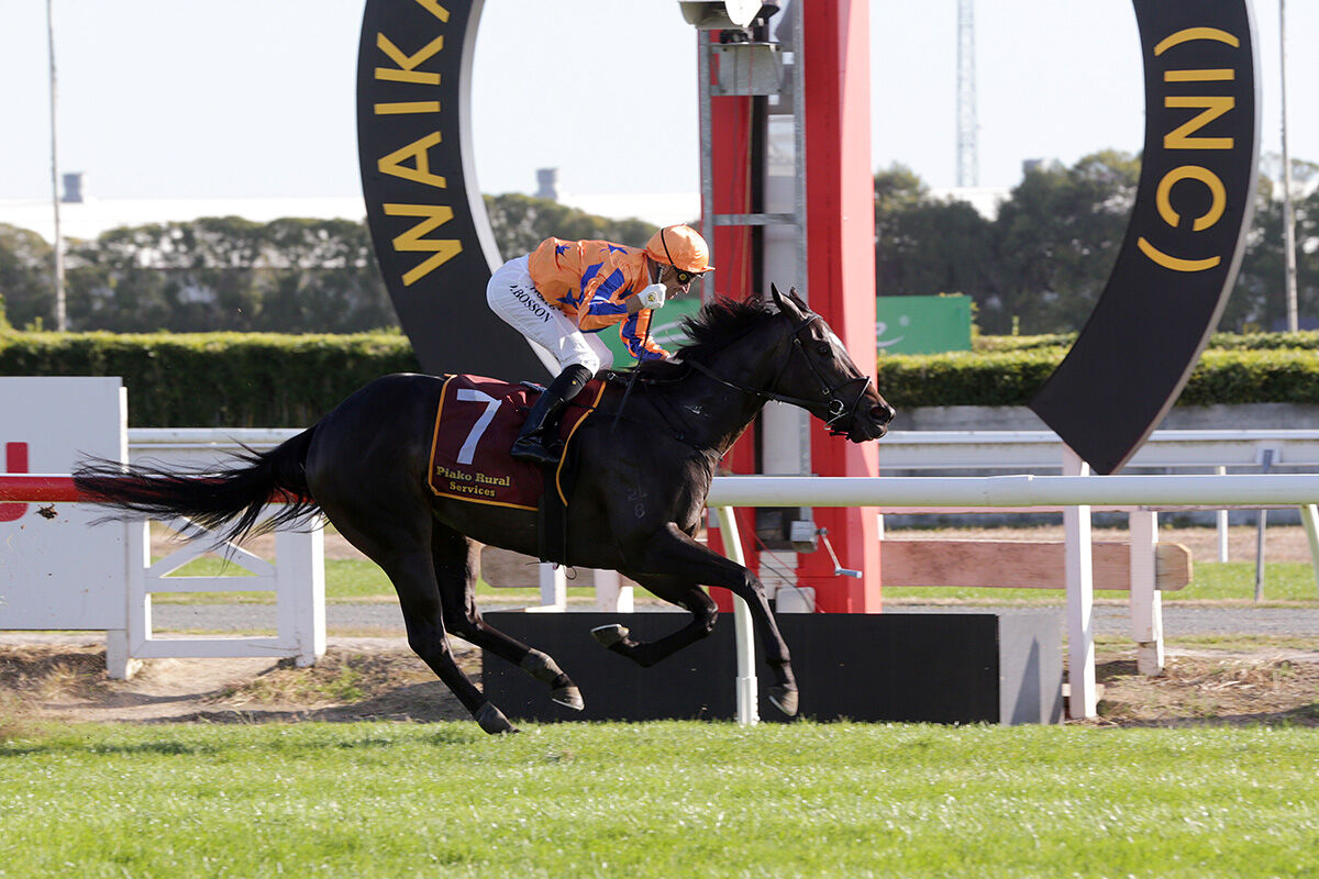 Star Filly Too Good for Older Rivals