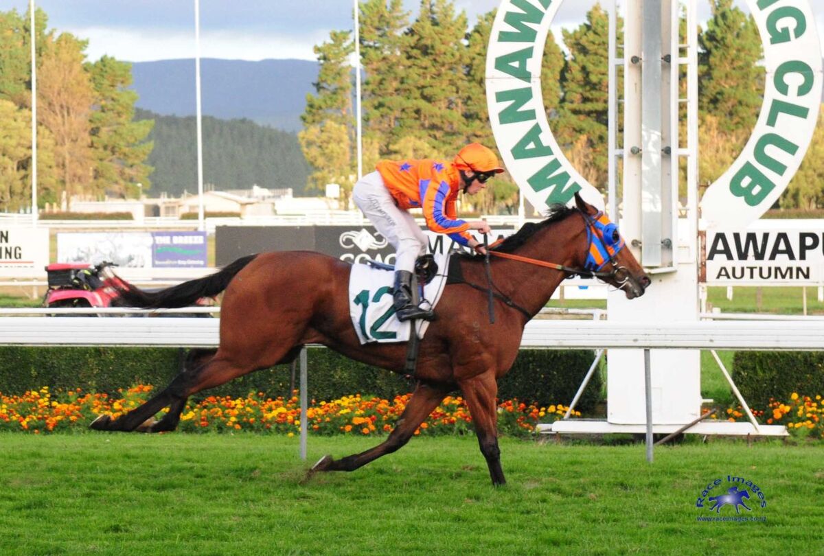 NZ Tuesday Trackwork