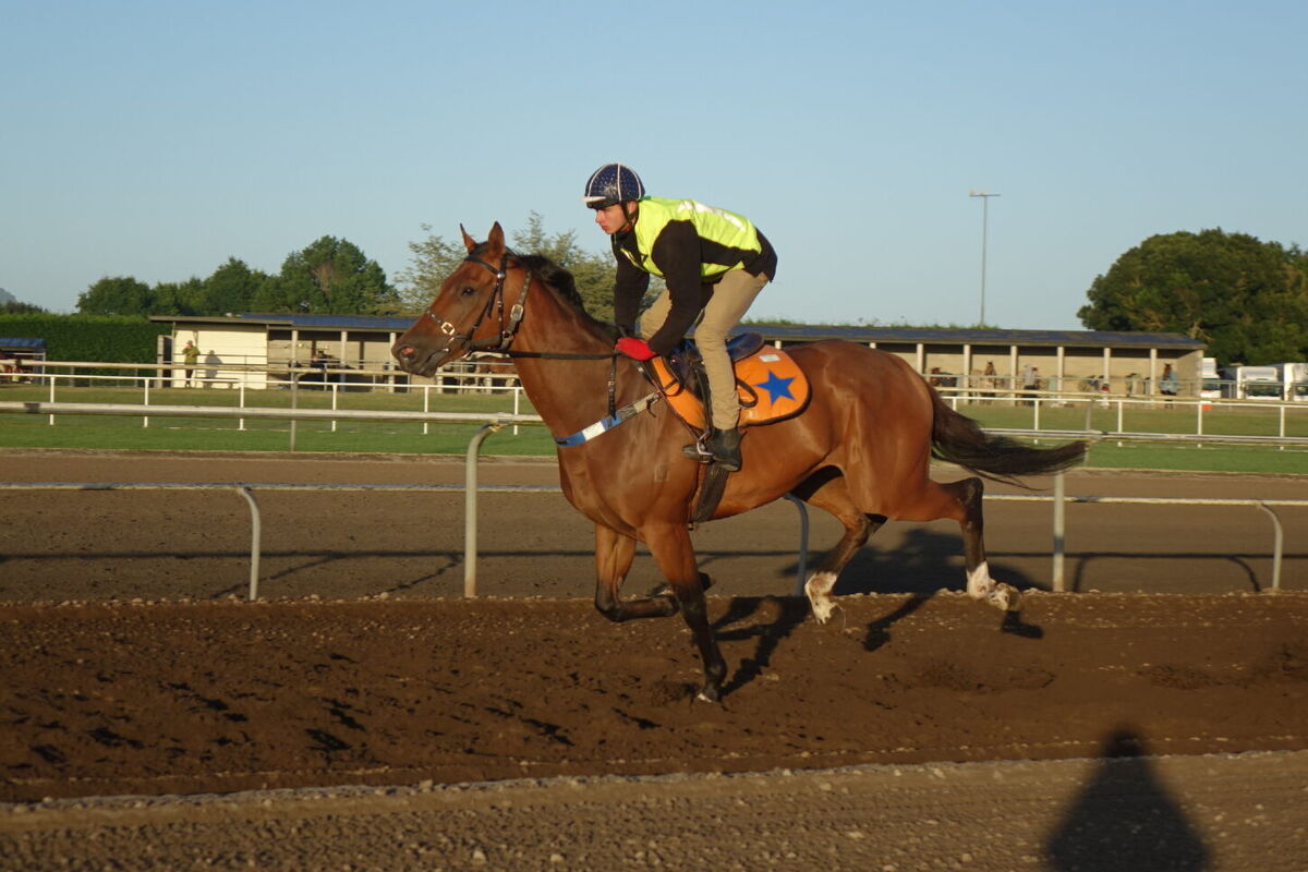 Te Akau Thursday Trackwork