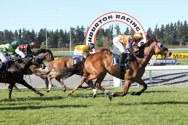 Te Akau Ashburton Friday Preview