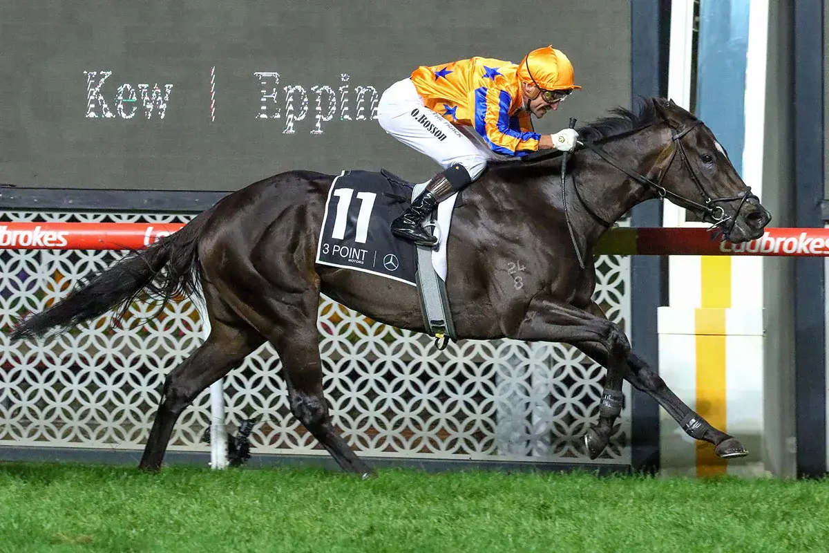 Imperatriz and Opie Bosson winning the William Reid Stakes