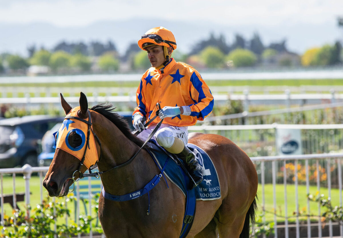 Te Akau TV - Friday And Saturday Preview