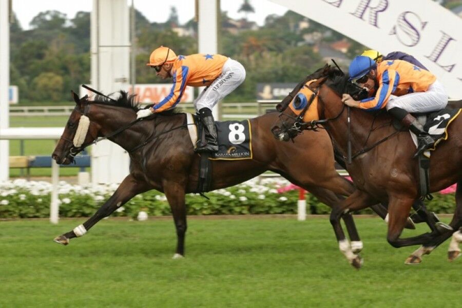 Avantage Claims Matamata Horse of the Year Award