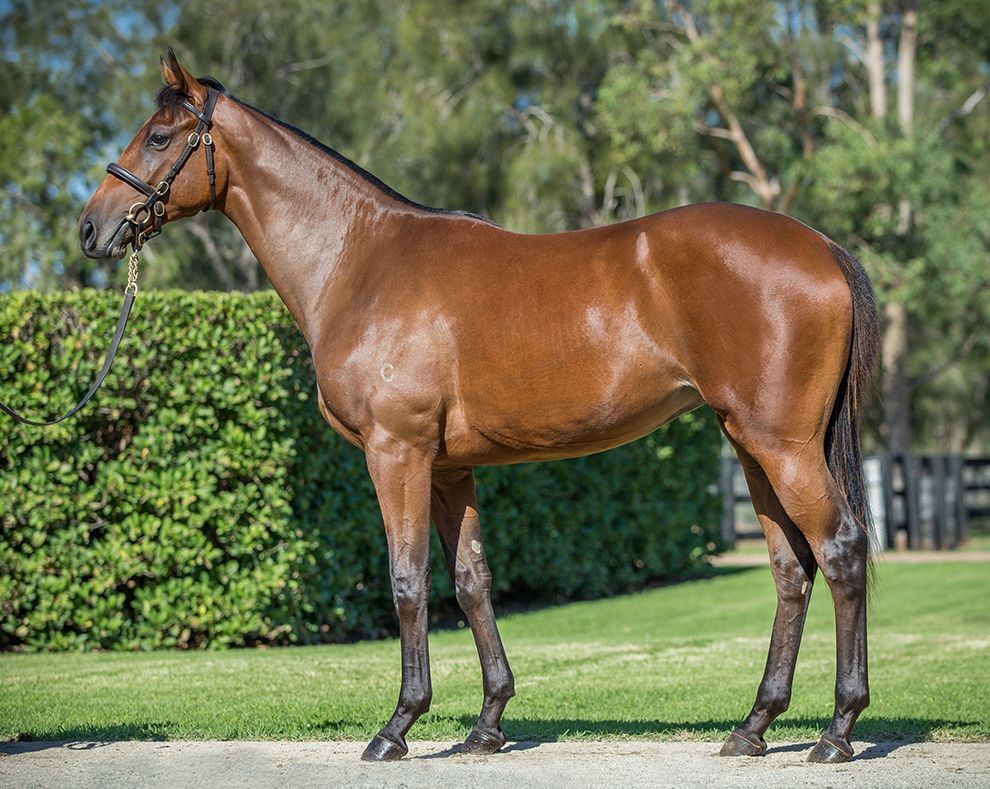 Keep Watching this Space - a second filly ....