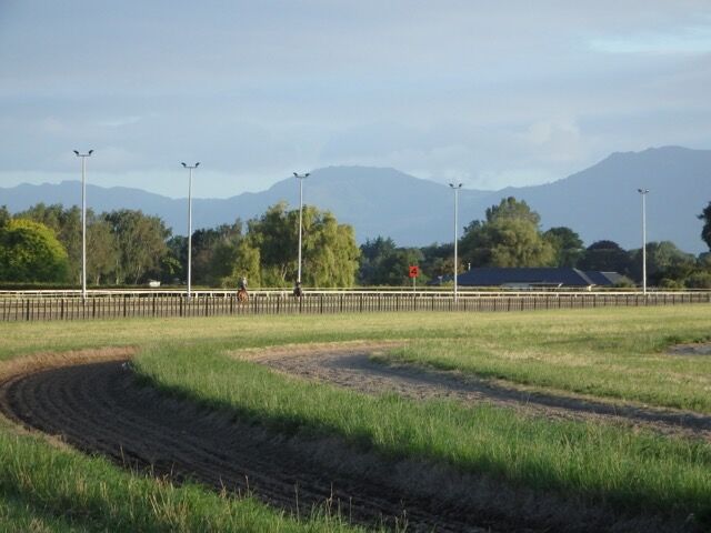 Te Akau Tuesday Trackwork