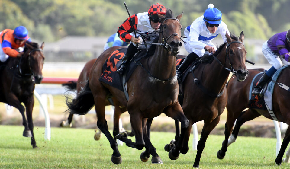 Invincibeel - Te Akau's Fourth Te Rapa Winner