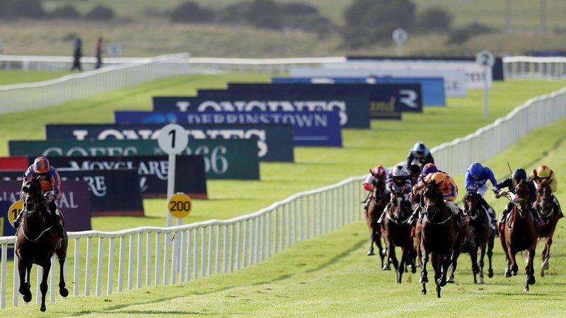 Torcedor Runner-Up in Grp 1 Irish St Leger