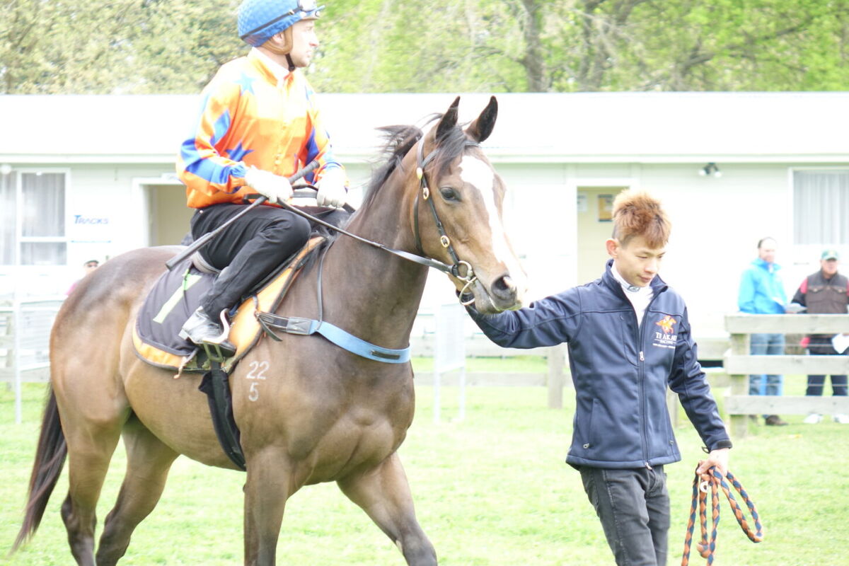 Te Akau Te Teko Trials' Report