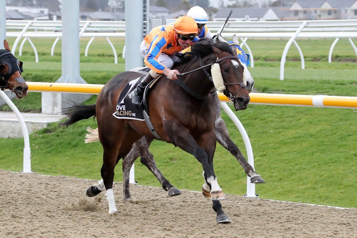 Irish Red You Ripper