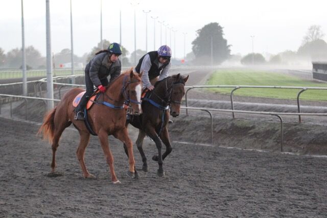 Te Akau Tuesday Trackwork