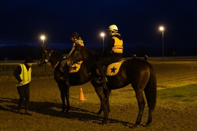 Te Akau Thursday Trackwork