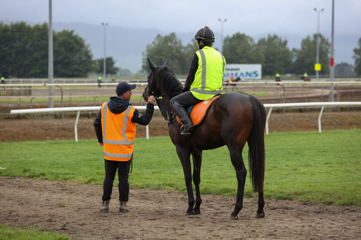 Te Akau Tuesday Trackwork