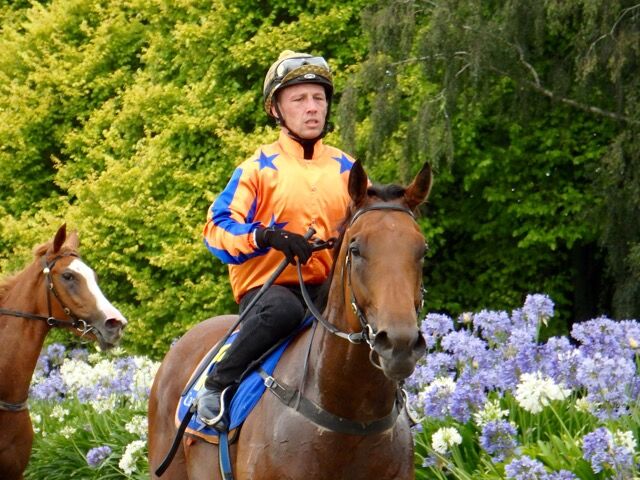Te Akau Cambridge Trials' Report