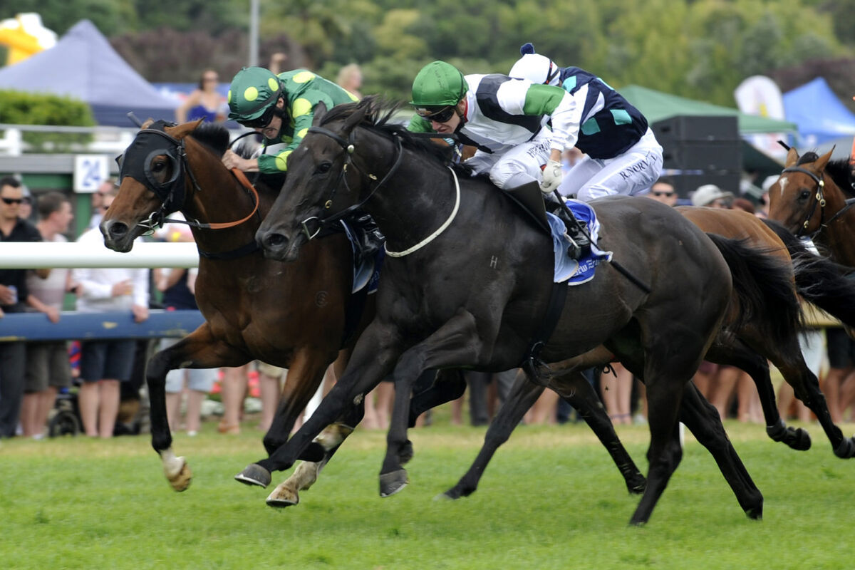 Unbeaten at Ellerslie