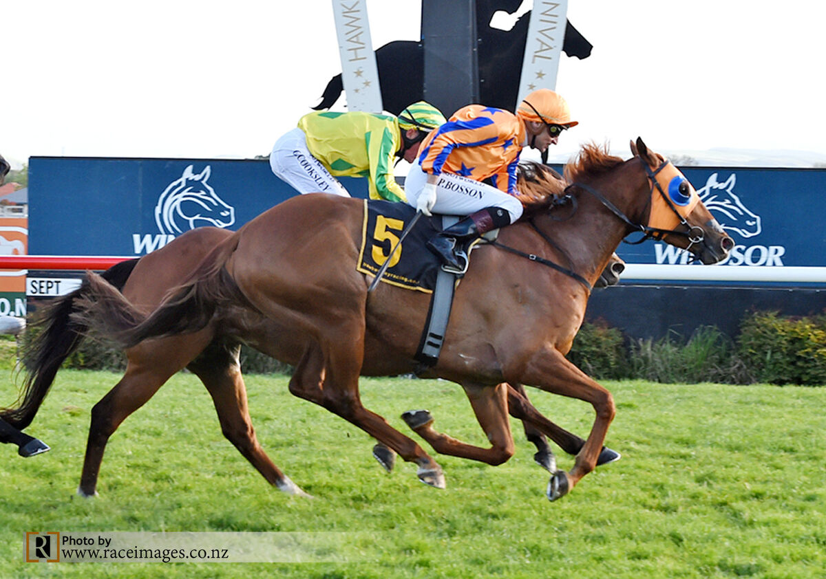 Gingernuts Crunches 3rd Grp 1