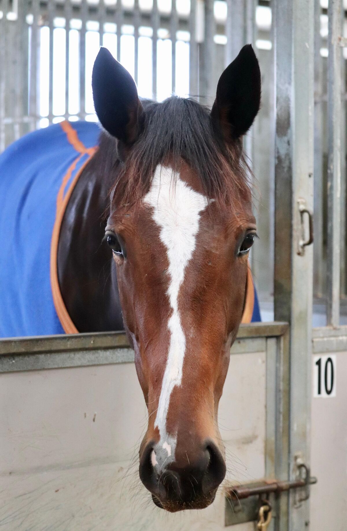 Te Akau Tuesday Trackwork