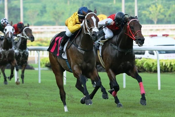 Te Akau Singapore Trackwork