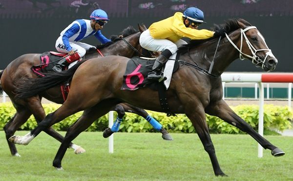 Te Akau Singapore's Winning Treble