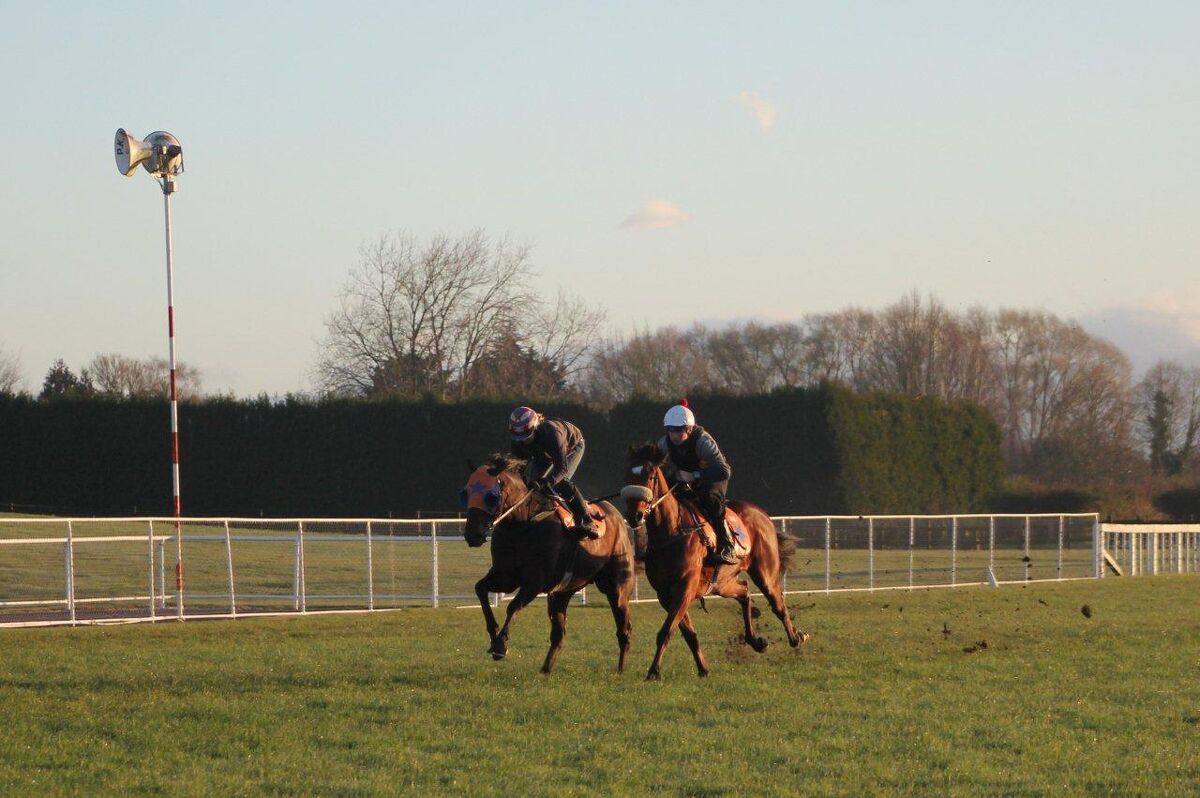 Te Akau Saturday Trackwork