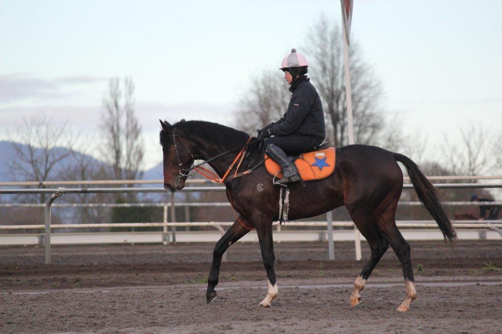 Te Akau Trials' Update