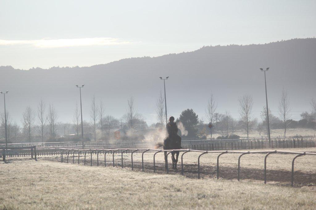 Te Akau Saturday Trackwork