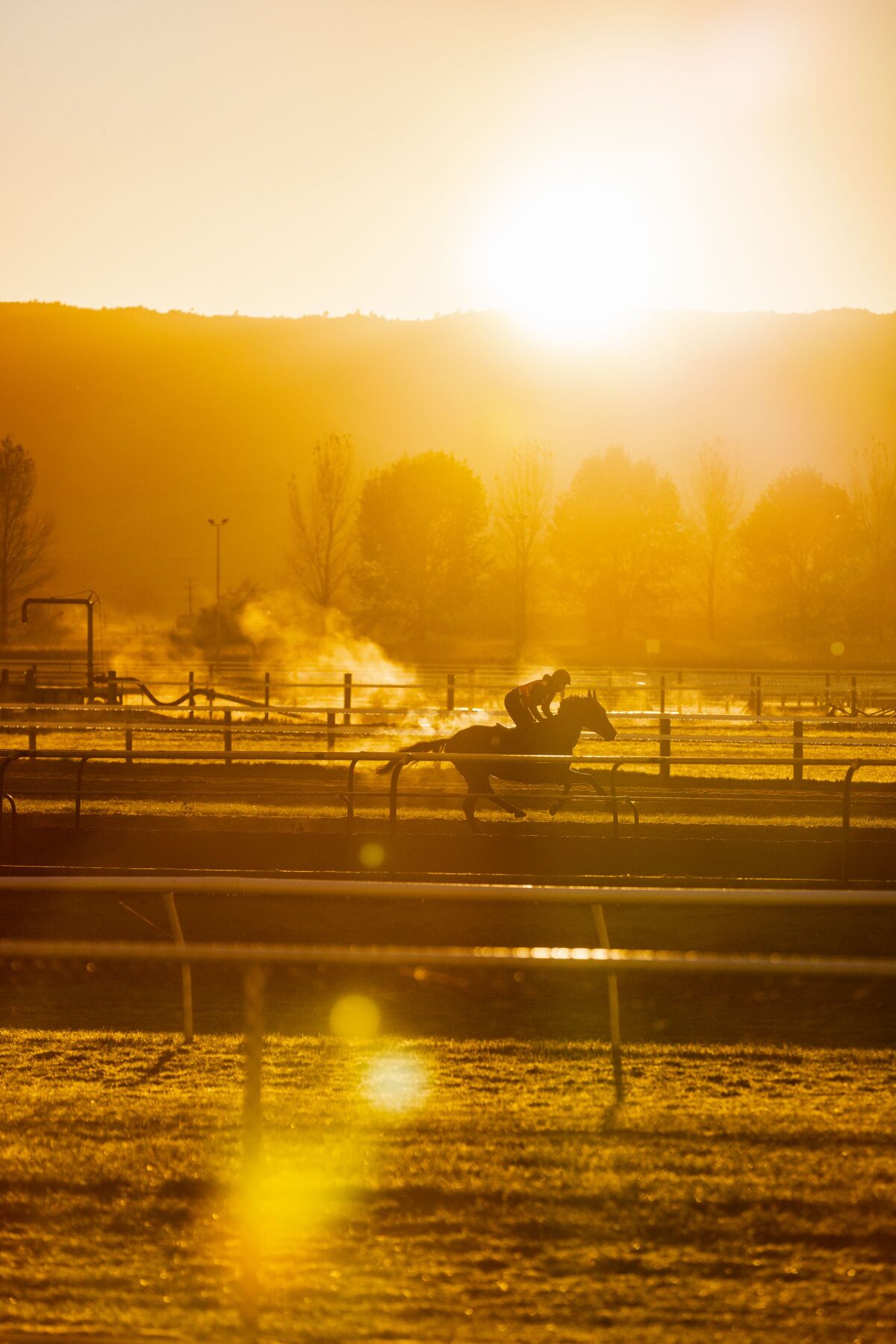 Te Akau Tuesday Trackwork