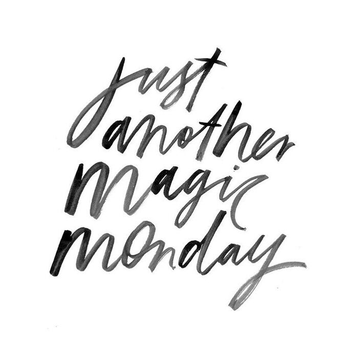Te Akau Monday Update