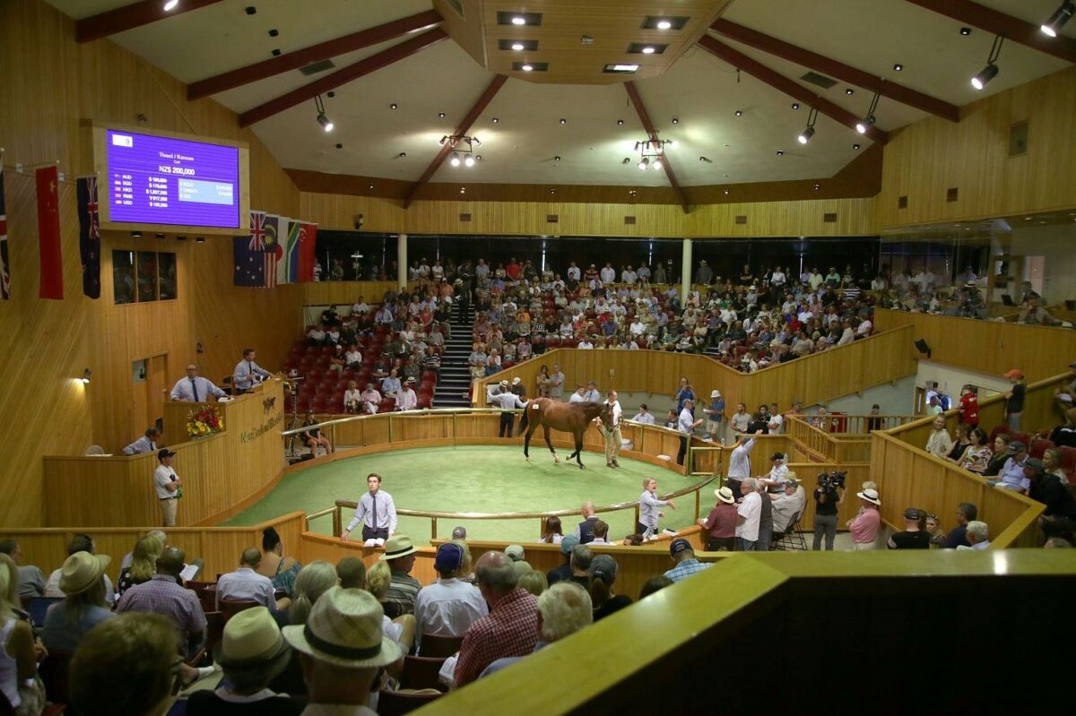 Karaka Commences Monday - Broadcast Details Here