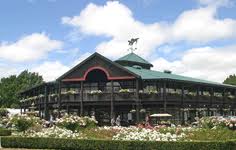 Karaka Here We Come