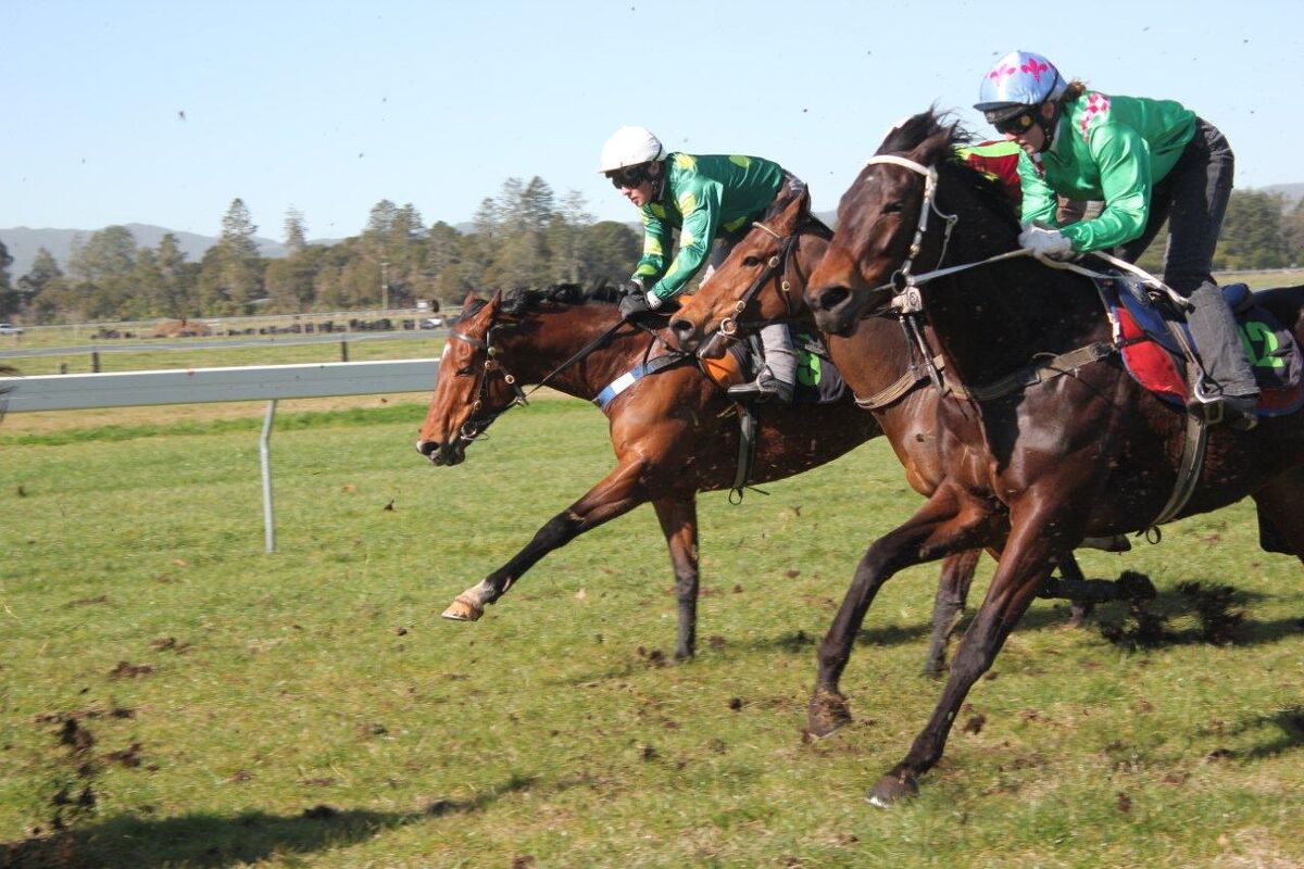 Te Akau Taupo Trackwork