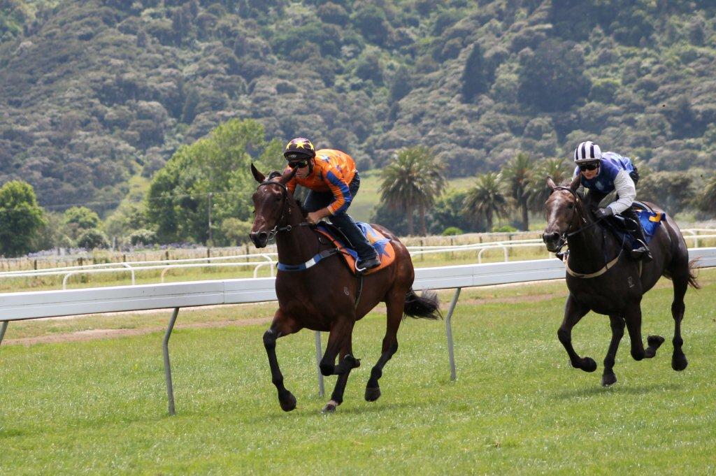 Te Akau Te Teko Trialists