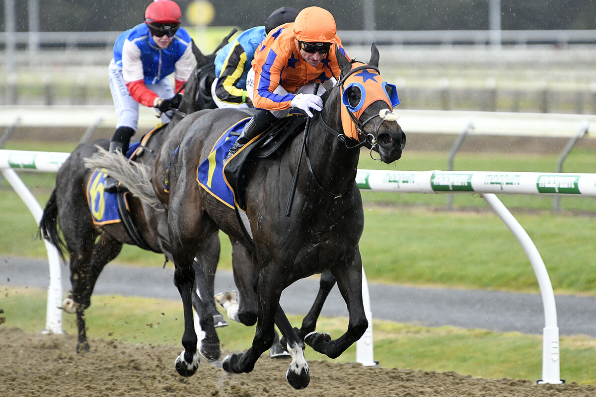 Te Akau Midweek Trans Tasman Preview