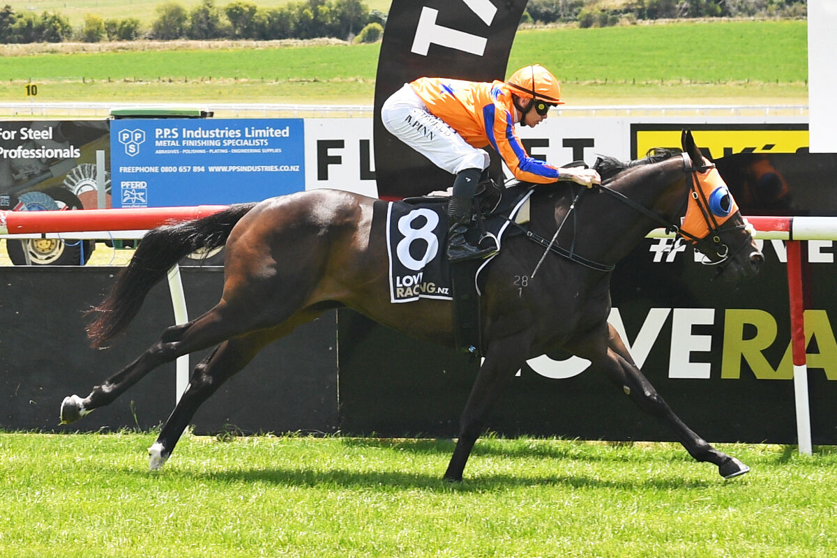 Te Akau Trans Tasman Midweek Preview