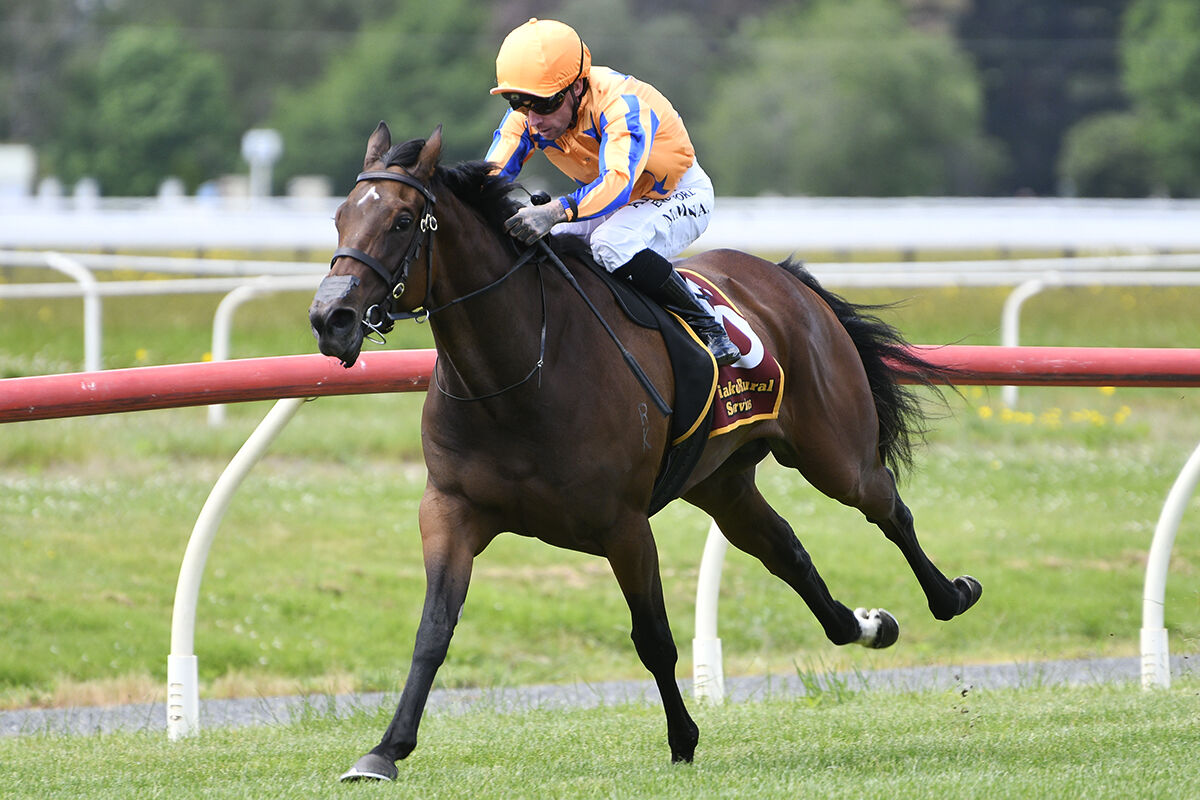 2 Win Tuesday - Celestial Wonder Waltzes Home
