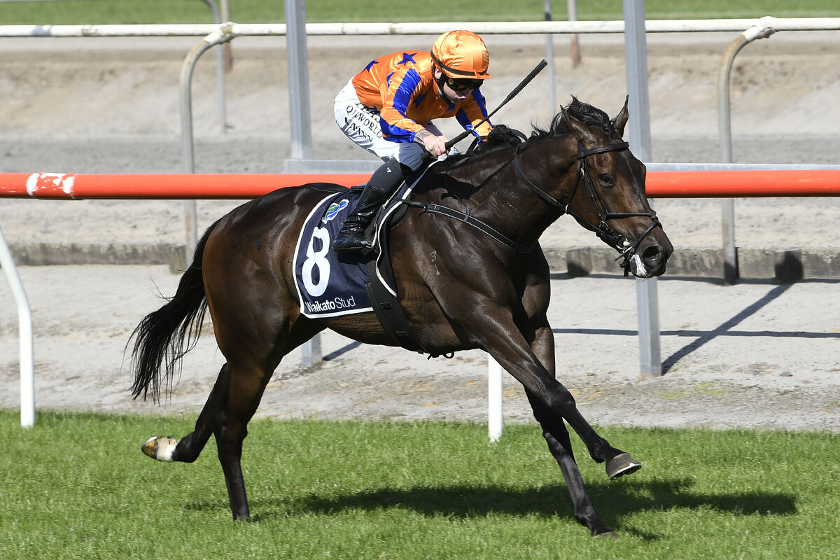 Te Akau Trans-Tasman Friday Preview