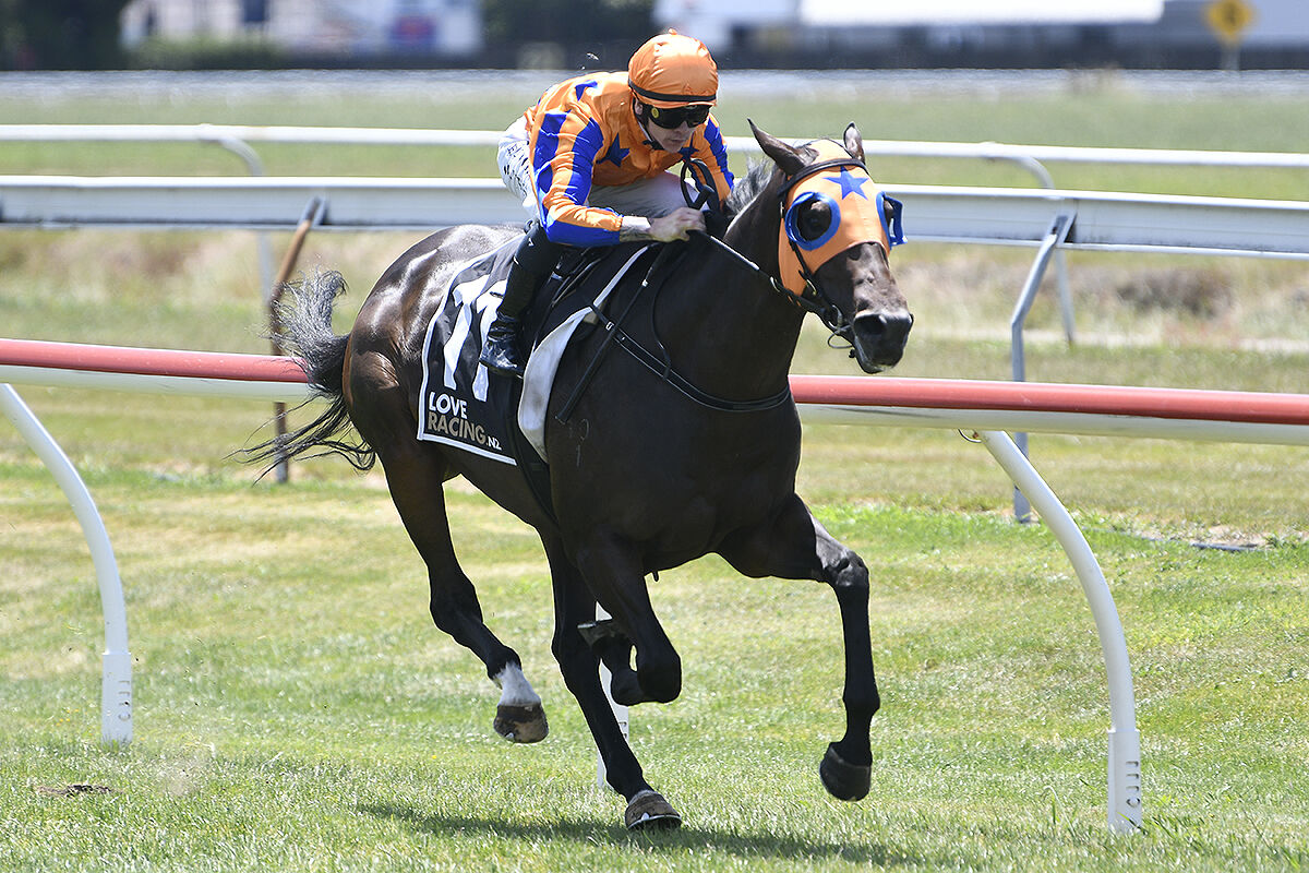 Te Akau North Island Sunday Preview