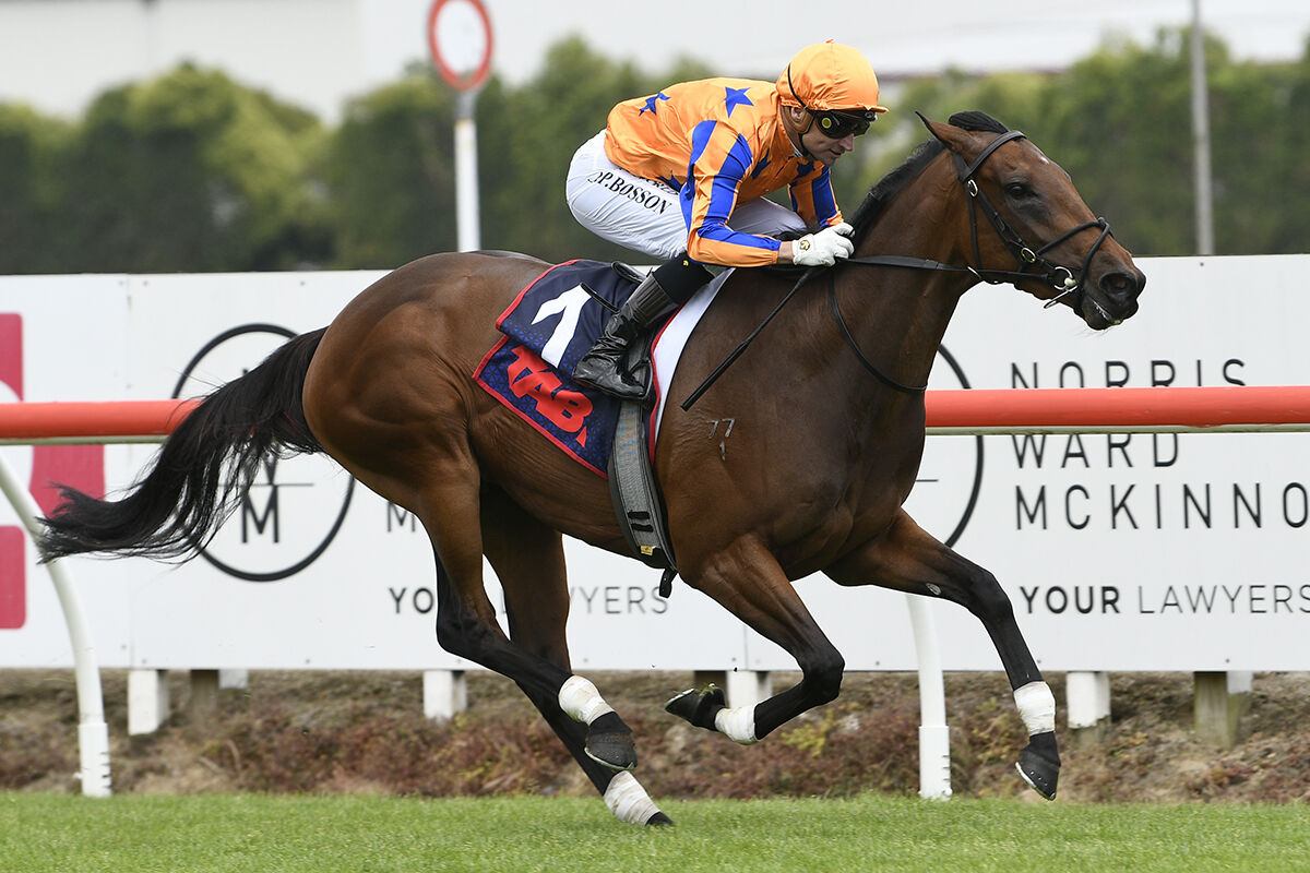Damask Rose Stakes Karaka Millions 3YO Claim