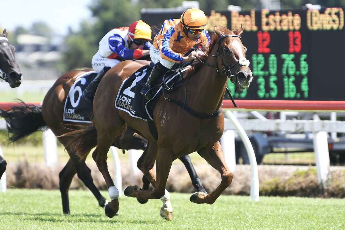 Te Akau Trans Tasman Saturday Preview