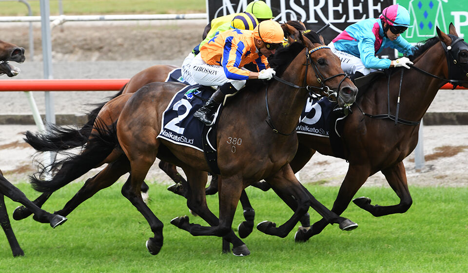 4 Win Saturday - El Viento Flies Like the Wind
