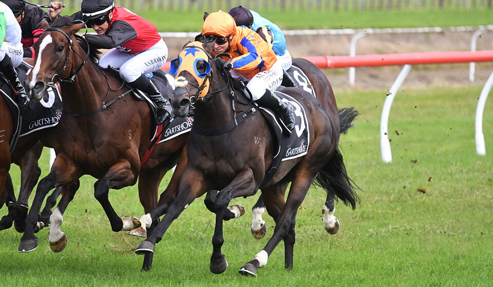 4 Win Saturday - Fashion Shoots Home