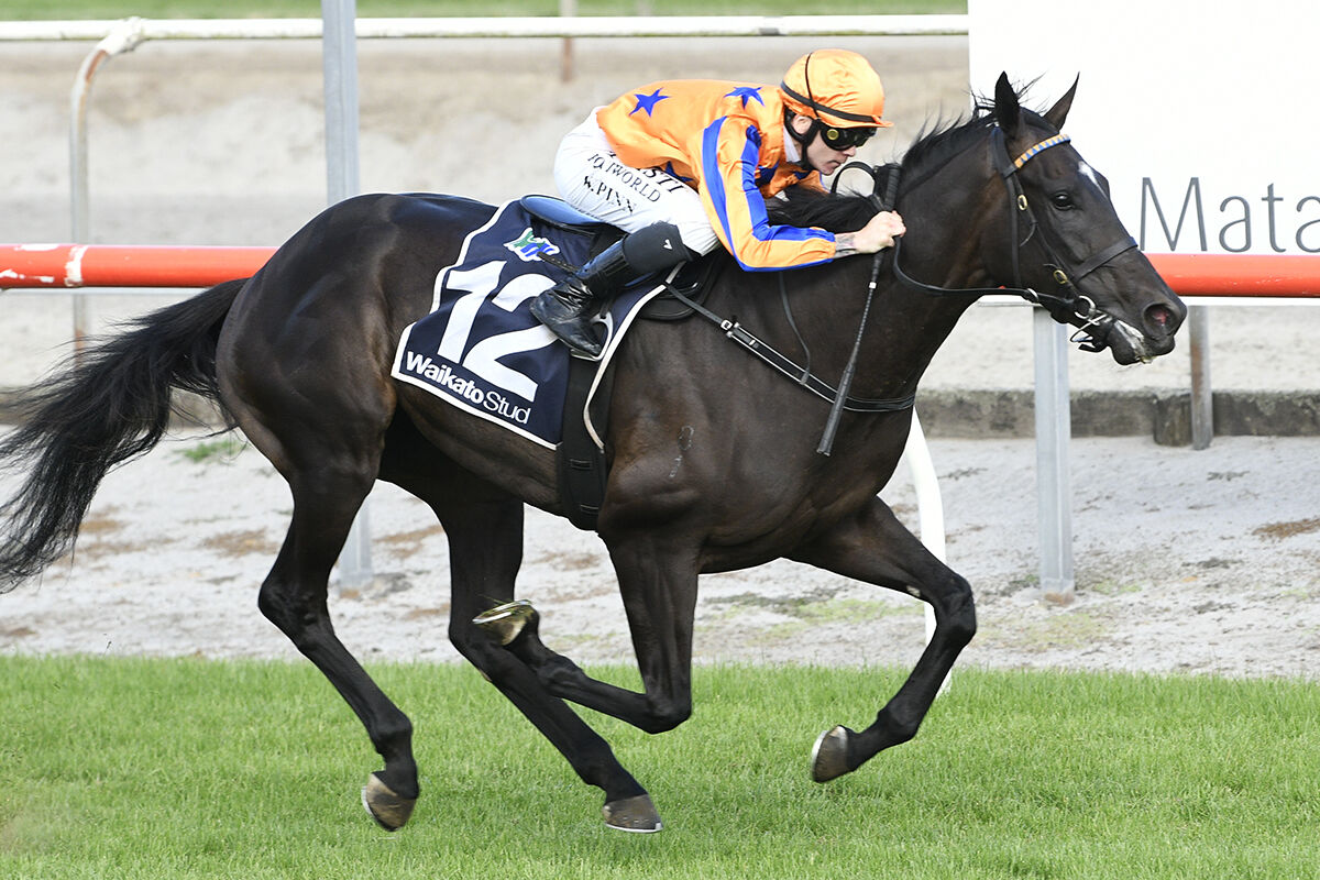 Matamata Double ~ Hakkinen Our 'Flying Finn'