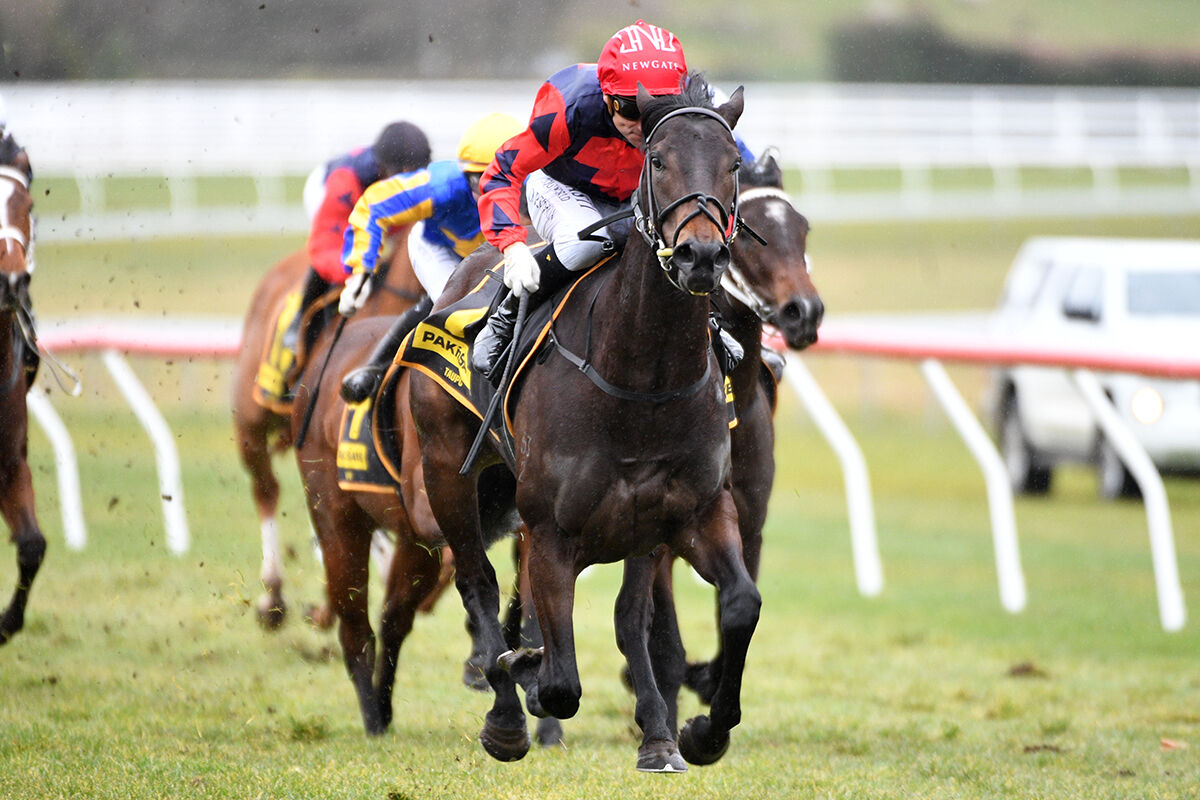 Te Akau Taupo Treble - In Haste, In Control