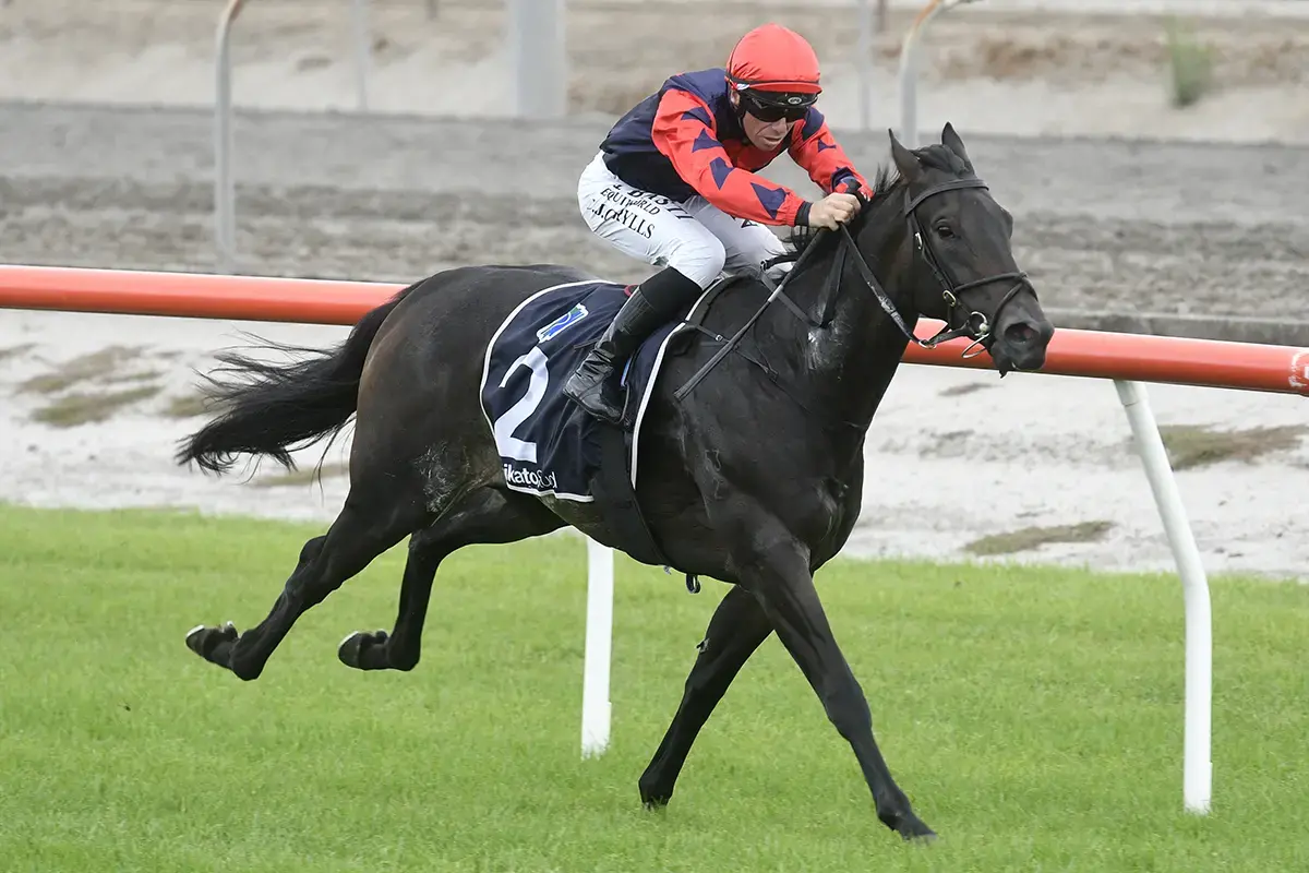 Te Akau Trans Tasman Midweek Preview