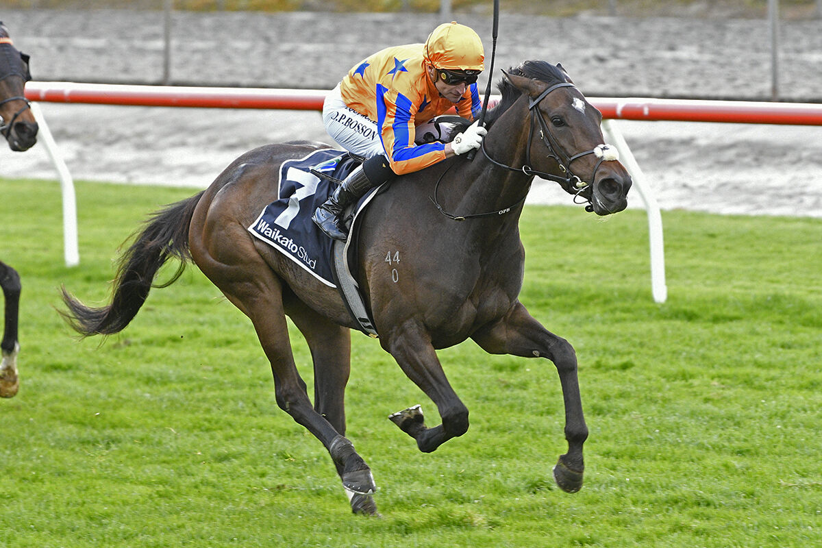 Te Akau Eager to Win Hometown Cup