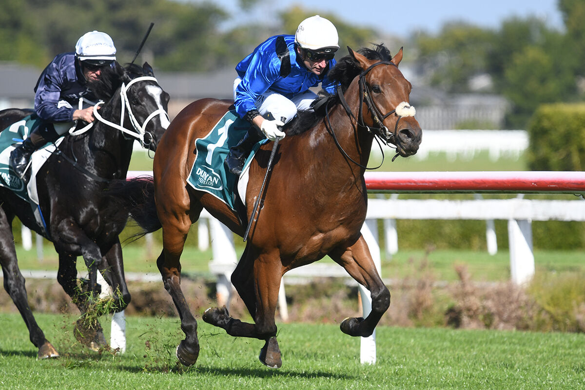 Te Rapa Double - 150 Wins Gold