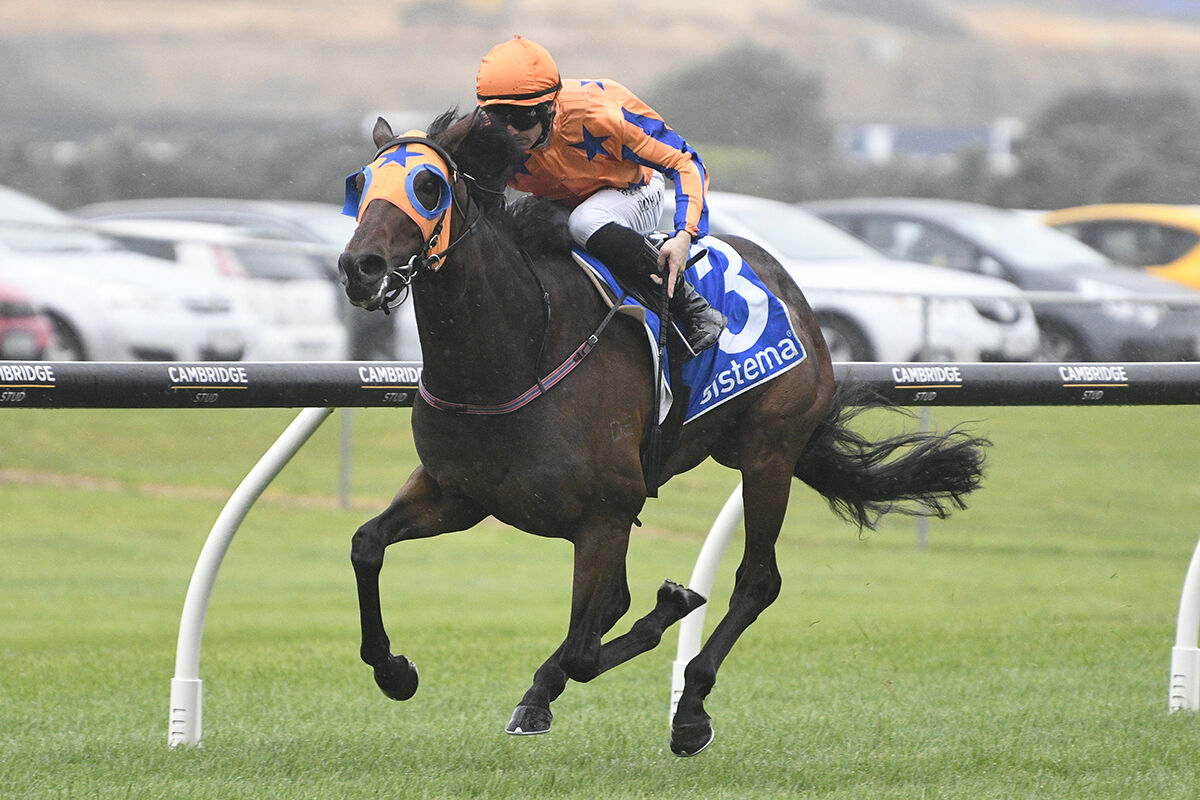 4 Win Saturday - Qali Quality Filled