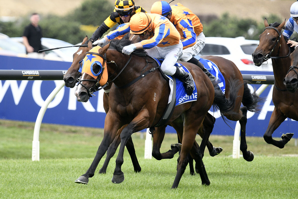 Te Akau Season of Success - Historic 100th Group 1