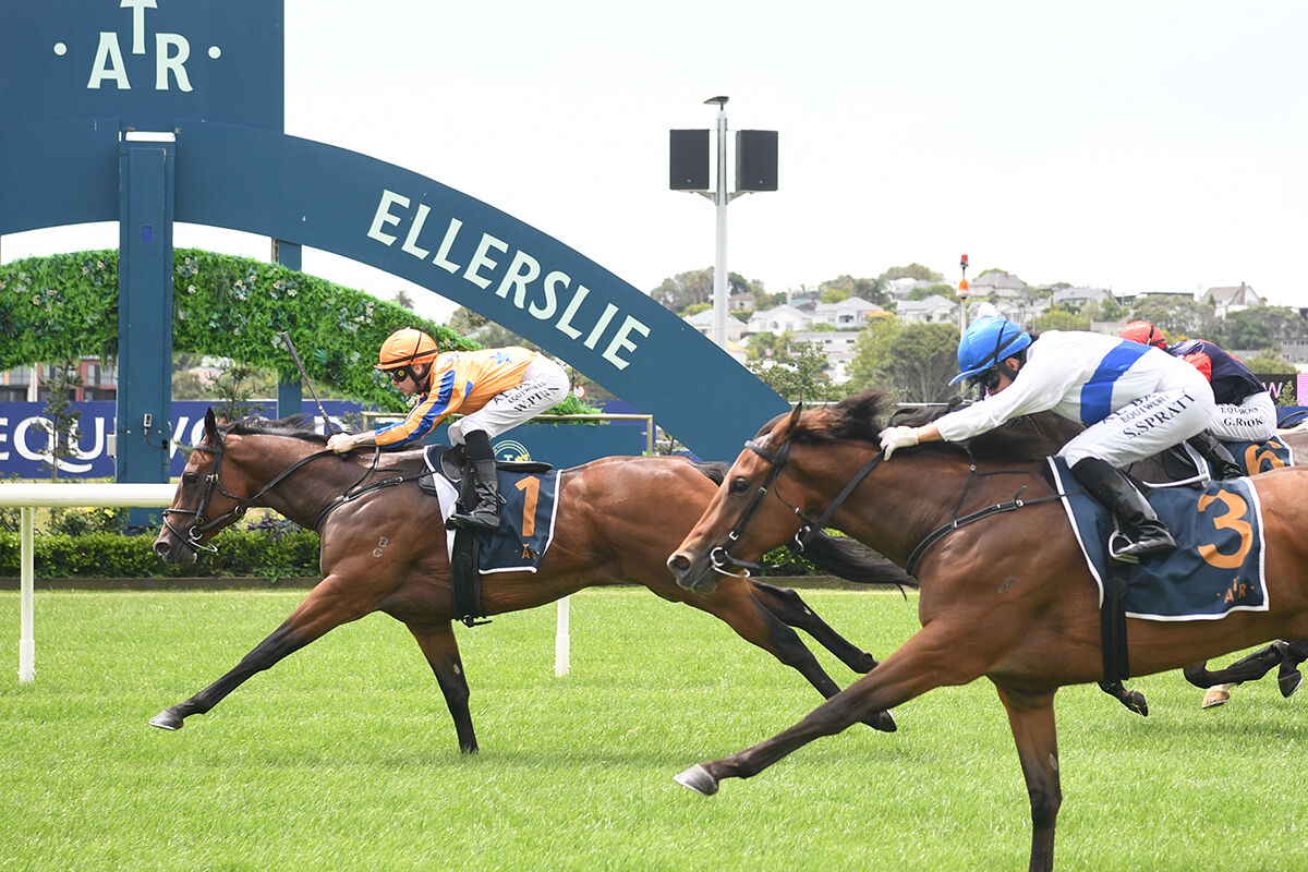 Te Akau Ellerslie Midweek Preview