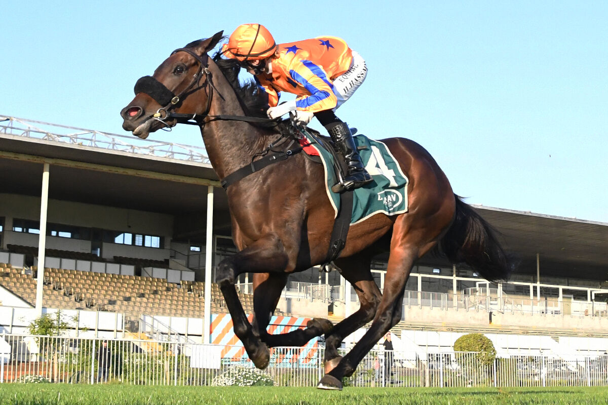 Te Akau Trans-Tasman Saturday Preview