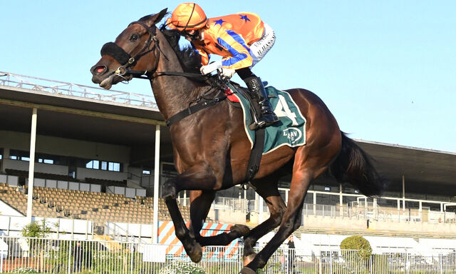 Te Akau Trans-Tasman Saturday Preview